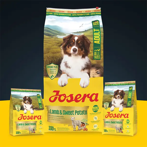 Josera Lamb + Sweet Potato begrūdis sausas pašaras šunims su ėriena ir batatais, 12,5 kg