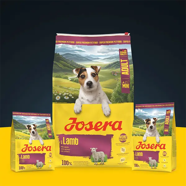 Josera Mini Lamb begrūdis sausas pašaras mažų veislių šunims su ėriena, 900 g.