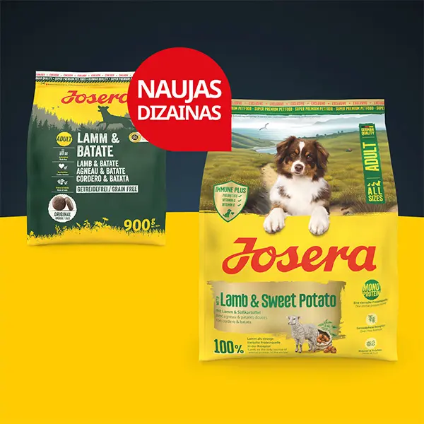 Josera Lamb + Sweet Potato begrūdis sausas pašaras šunims su ėriena ir batatais, 900 g.