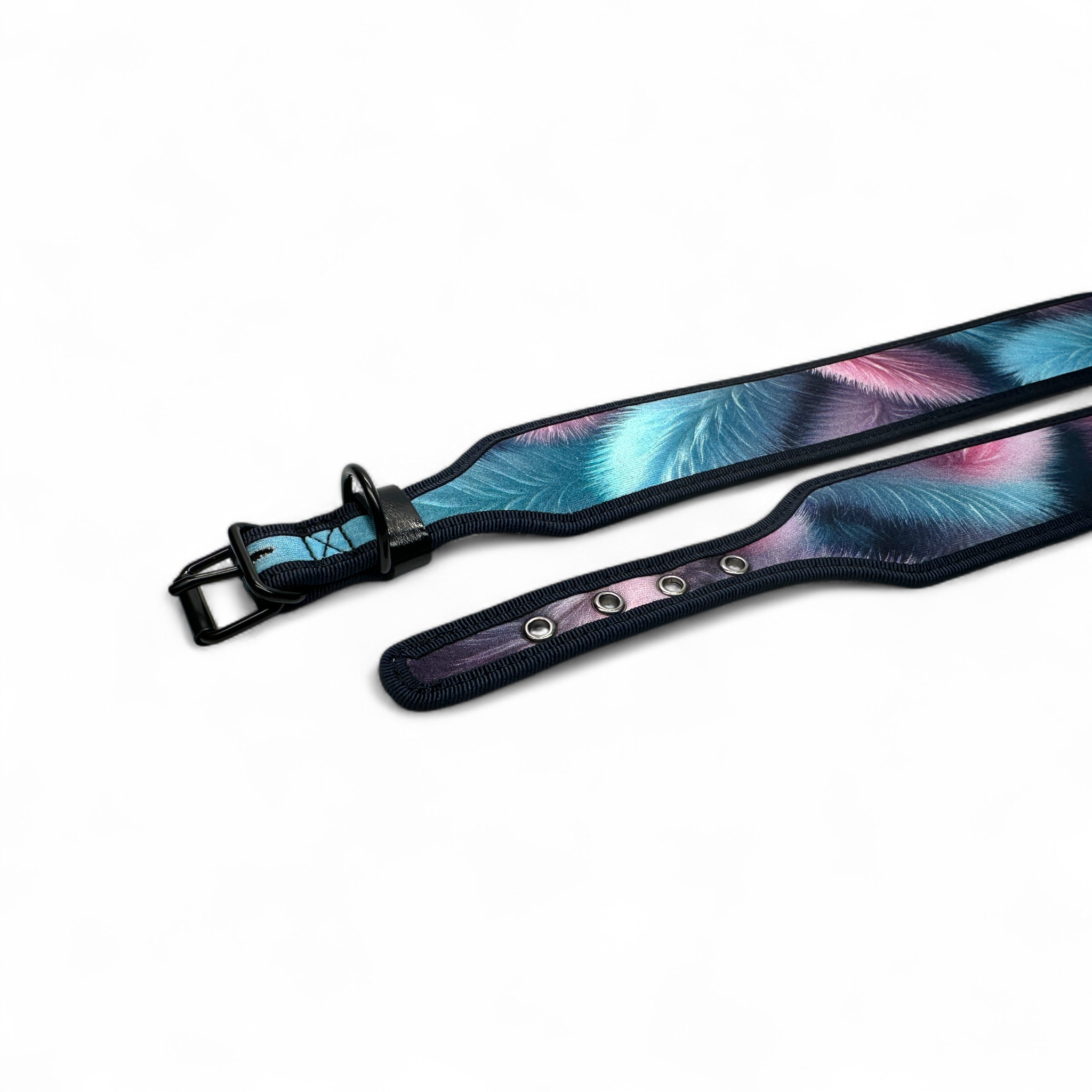 Šunų antkaklis su sagtimi 5 cm – paminkštintas, reguliuojamas Plunksnos