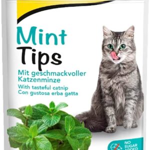 GIMCAT MINT TIPS skanėstai katėms 40g