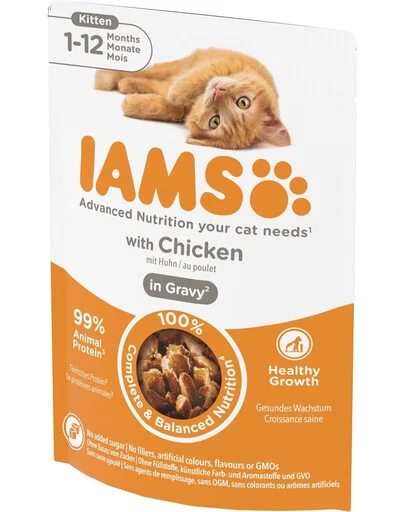 IAMS Kitten (chicken)