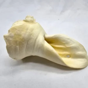 Real Dog jaučio ausys baltos 2vnt.